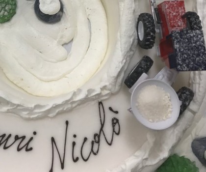 Cake designer e torte a tema Biella 71 